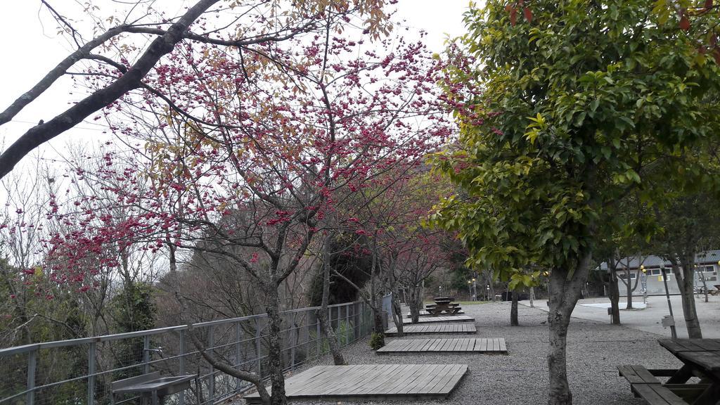 Qing Jing Xiao Taiyang Jingguan Homestay Renai Eksteriør bilde