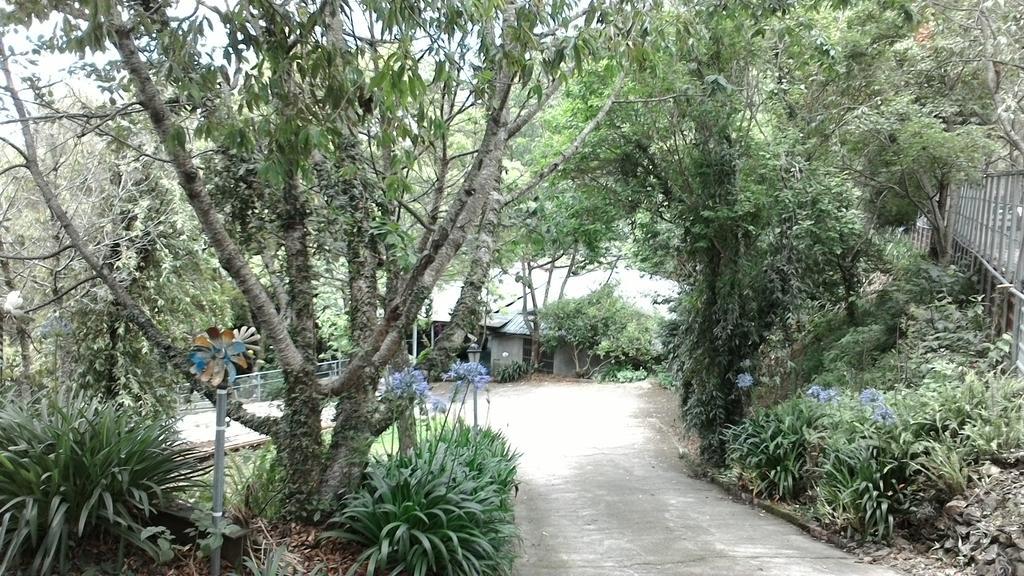 Qing Jing Xiao Taiyang Jingguan Homestay Renai Eksteriør bilde